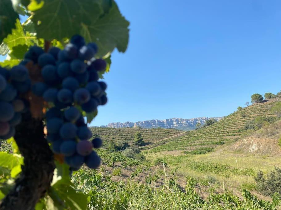 Vinyes Del Priorat Διαμέρισμα Cornudella de Montsant Εξωτερικό φωτογραφία